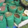 Herbal muti to help you