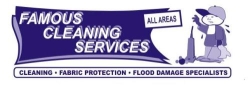 Famous Cleaning Services