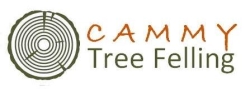 Cammy Tree Felling - Randburg