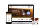Web Design for Livestock Wealth