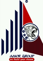 Amor Group Limited