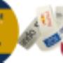 Full Colour Tyvek Wristbands