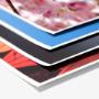 Poster Prints