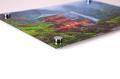 Acrylic-Prints
