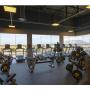 Viva Gym Sunningdale