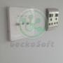 Face Plate Sample