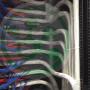 Gecko Dadat Cabling