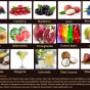 Flavours