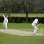 Uploaded by visitor on 2017/09/28 - Cricket Pitch