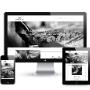 Green dot homes website