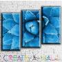 Uploaded by visitor on 2017/11/01 - Blue Catus Flower 3-Piece Canvas Set
