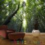 Uploaded by visitor on 2017/11/01 - Green Forrest Wallpaper