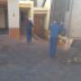 Moving Companies Gauteng