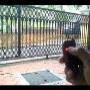 Gate Automations