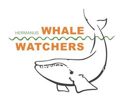 Whale Watchers Hermanus