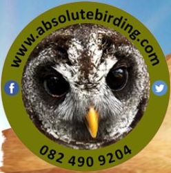 Absolute Birding Tours and Safaris