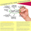 Complete HSE Program
