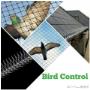 Uploaded by visitor on 2018/01/19 - Bird Control