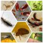 Uploaded by visitor on 2018/01/19 - Pest control