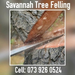 Savannah Tree Felling company