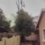 Uploaded by visitor on 2018/01/30