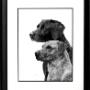 Pawfect companions etching