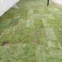 Grass installation