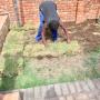 Kikuyi Grass R15 Roll