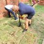 Planting