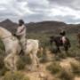Uploaded by visitor on 2018/03/14 - Horseback Safari