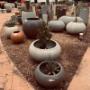 The Pot Shack - Garden pots - Garden Pot Suppliers