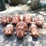 The Pot Shack - Garden pots - Ornaments
