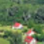 Forest Edge Aerial View