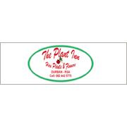 The Plant Inn-Hired Plants & Flowers