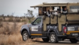 B1 Photo Safaris