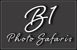 B1PhotoSafaris