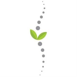 Dr. Vicki Ferreira Chiropractor