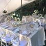 Phoenix Chair Hire
