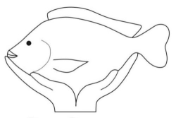R and R Fish Farm
