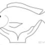 Uploaded by visitor on 2018/04/25 - http://www.randrfishfarm.com
