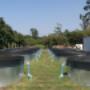 Uploaded by visitor on 2018/04/25 - http://www.randrfishfarm.com