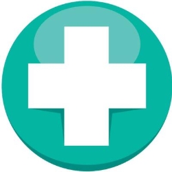 The Medical Society