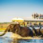 Uploaded by visitor on 2018/04/28 - Chob boat cruise
