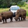 Hluhluwe Imfolozi Safaris with Zulu Safaris