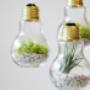 Uploaded by visitor on 2018/05/14 - CFL Recycling and Disposal