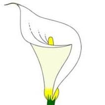 Lily Mining & Industrial Supplies (Pty) Ltd