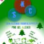SKC PINE-GEL CLEANER