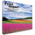 Canvas Printing and Stretching