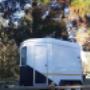 Horsebox windows