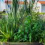 TreeWell Wastewater System